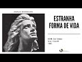 Capture de la vidéo Amália Rodrigues - "Estranha Forma De Vida" (Audio, 1962)