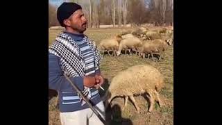 Abeden Güzel Yorum Kula Minnet Eylemem Resimi