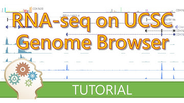 RNA-SEQ WITH THE UCSC GENOME BROWSER