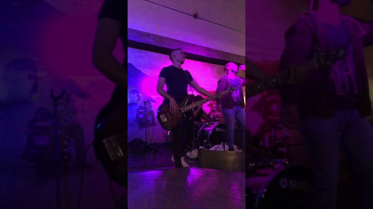 Sebas Sáenz  | La Célula Que Explota (Bass Cover)