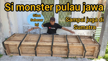 GAK NYANGKA AKHIR NYA KEDATANGAN ( ZEUS ) MONSTER PURBA DARI INDONESIA..GILAA BESAR BANGET