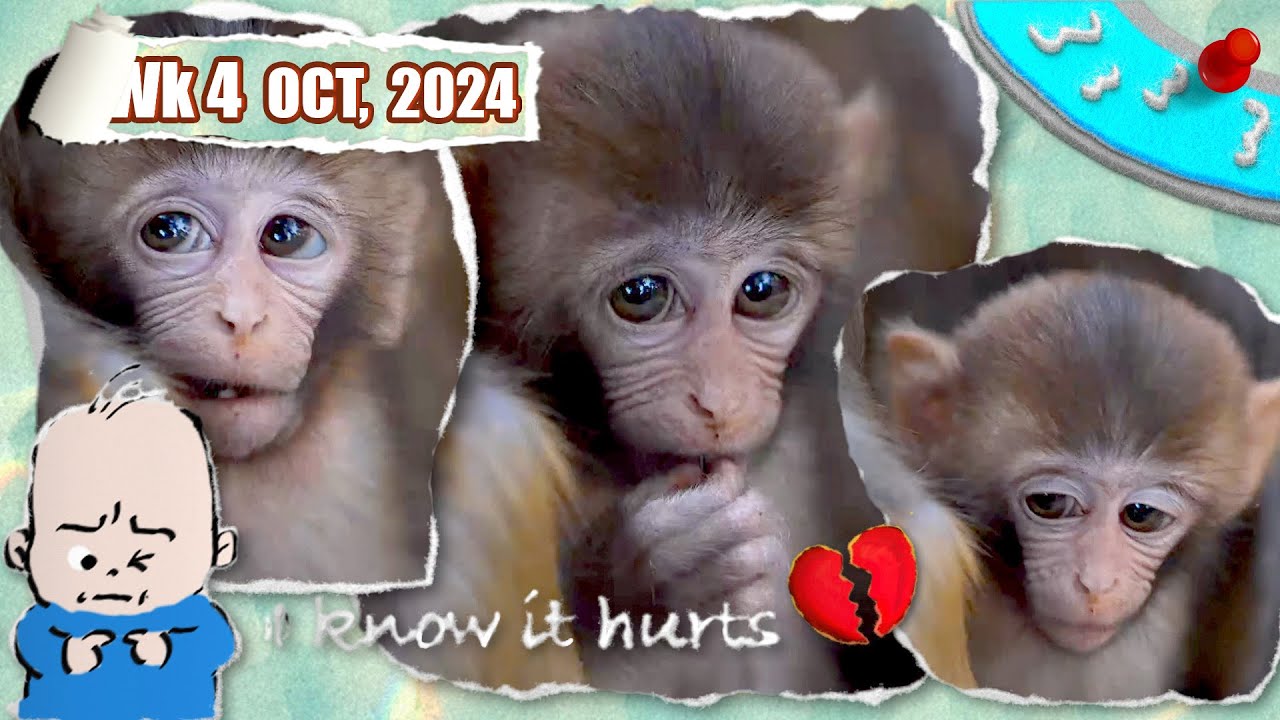 Babies don't like mating season 🥺