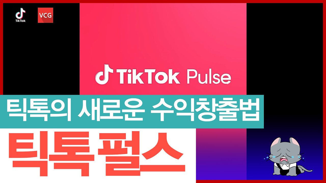 틱톡 수익 창출 - 리워드의 부활! 틱톡 펄스 (tiktok pulse) 살펴보기🧐🧐 | vcg