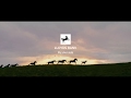 Lloyds Bank Epic Journey Advert 60 