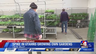 Cache Valley sees gardening spike amidst COVID-19 pandemic