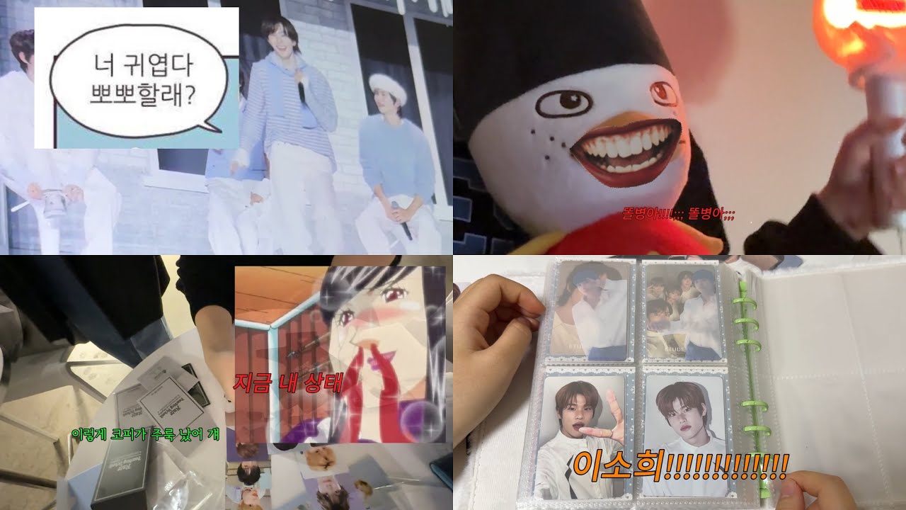 라놀에 미친 여자의 상반기 깡 모음집..;; // 브리즈 브이로그 / 트레카깡 / 시그 / 톤프