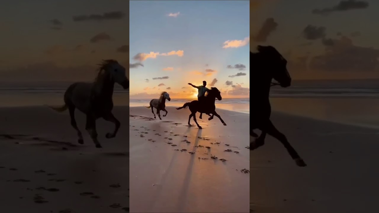 horse riding on beach ❤