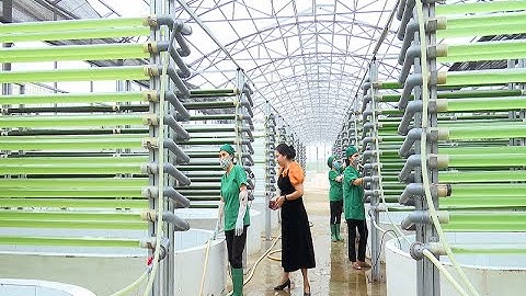 Thanh Hóa đẩy mạnh phát triển tiểu thủ công nghiệp