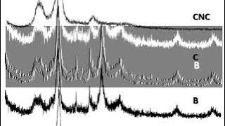 FF998C0327FDE1FEE896947CF99BBB#1