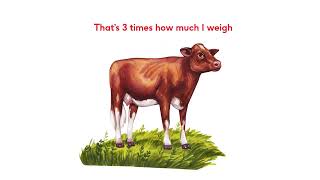 Cows And Co2E