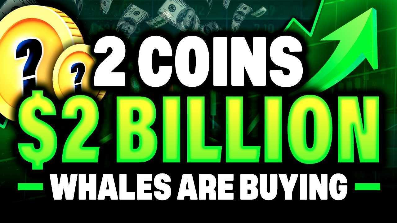 Bitcoin Whale Accumulation and 2026 DeFi & Macro Trends