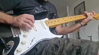 Famous Seymour Duncan Psychedelic set in Fender st68 Net Worth