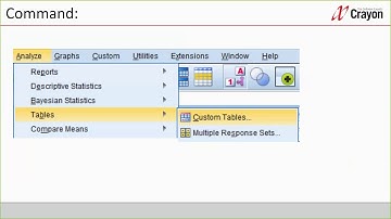Part 4 - Module SPSS Custom Tables Denmark 21 mar 2019