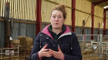 Common diseases affecting lambs - Lamlac