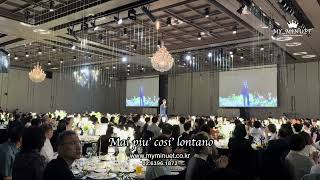 [웨딩연주-마이미뉴엣] Mai Piu Cosi Lontano | 신랑입장 | 피아노7중주 | 롯데호텔 부산