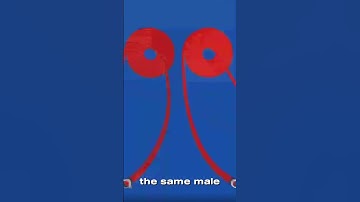 Safe Use of Fire Hydrants