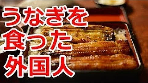 تحميل 海外の反応 魚嫌いの外国人をうなぎ屋に連れて行った結果 うなぎの蒲焼はアメージング ハマる外国人続出で鰻が絶滅 世界に誇る日本食 تحميل 海外の反応 魚嫌いの外国人をうなぎ屋に連れて行った結果 うなぎの蒲焼はアメージング ハマる外国人続出で鰻が絶滅 世界に誇る日本食