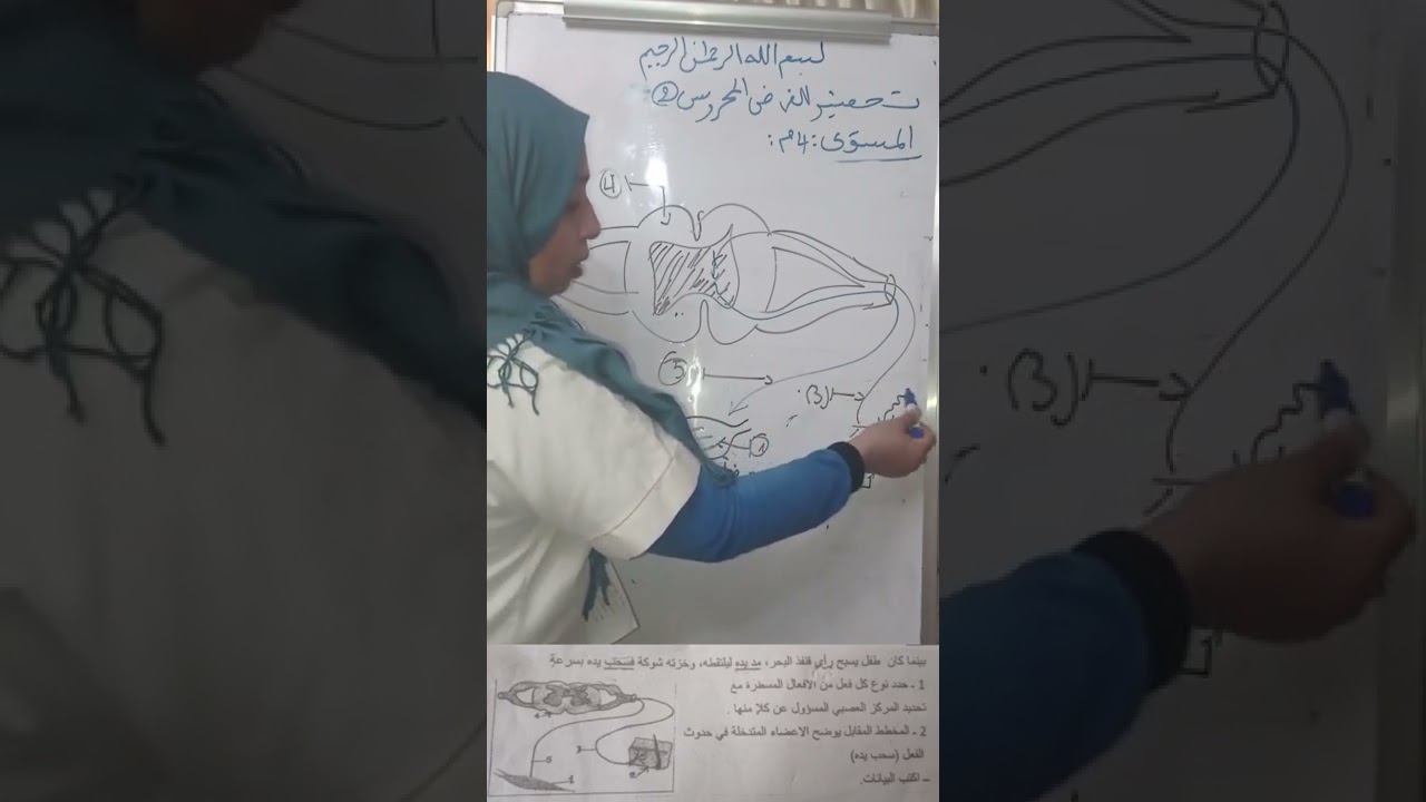 وضعية حول الاتصال العصبي :الحركة اللاارادية والاحساس لسنوات الرابعة متوسط الفصل الثاني