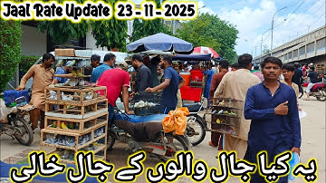 Lalukhet Sunday Birds Market Jaal Rate Update 2025 | lalukhet birds market 2025  update |@SYEDBIRDS