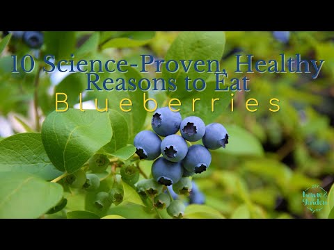 Blueberries: 10 Science-backed Reasons to Add Them to Your Diet