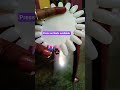 ❤️ Blooming Nailart#Shorts#ytshorts#nailart#simpleart