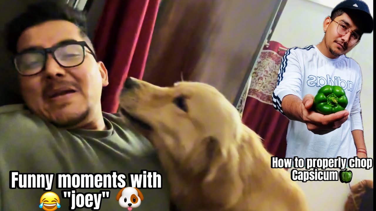 Funny Vlog Chef Vlog Channel How To Chop Capsicum Chefrvvlogs funny-vlog-chef-vlog-channel-how-to-chop-capsicum-chefrvvlogs