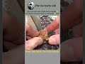 This blade😱can cut blade but not you hand #shorts #blade #cute #amazing #how