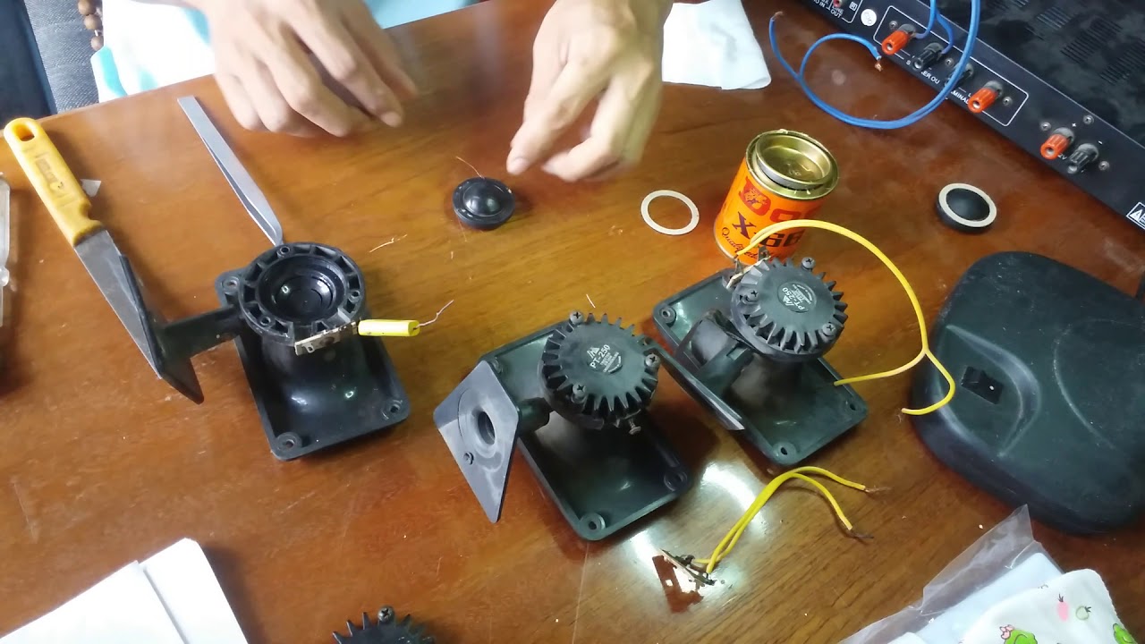 Thay côn loa nhà yến