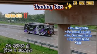 Hunting Bus 🔥 23 Mei 2022✨ || Ada Hr Tsalju & Sunbreker ‼️|| Banyak Bus Artis. HR, Putra KSM, GH dll