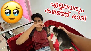 വീട്ടിൽ പറയാതെ Puppy 🐶 വാങ്ങി|🥹🥹Family Reaction 🥹😍😱Joyal Joshy