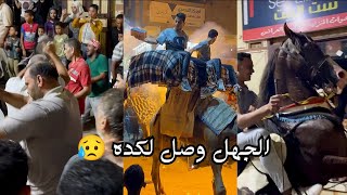 بدعة الاحتفال بمولد النبى | احتفالات خاصه بالمولد النبوى الشريف بمحافظة الدقهلية