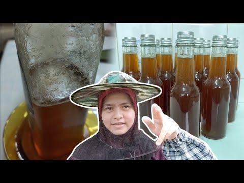 Video: Adakah madu menjadi pejal di dalam peti sejuk?