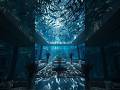 Underwater Room Renovation Timelapse 💯 #underwater #renovation #timelapse #viral #shorts #aivideo 🖤