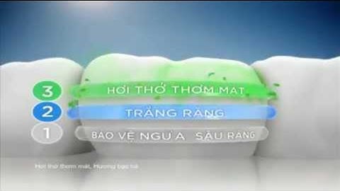 Kem đánh răng P/S Bảo vệ 1, 2, 3 Mới - Bảo vệ sức khỏe răng miệng cả nhà