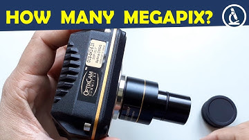 🔬 How many megapixels does a microscope camera need?
