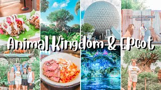 ANIMAL KINGDOM & EPCOT | OUR FIRST DAY IN THE DISNEY PARKS | SEPT 2022 VLOGS