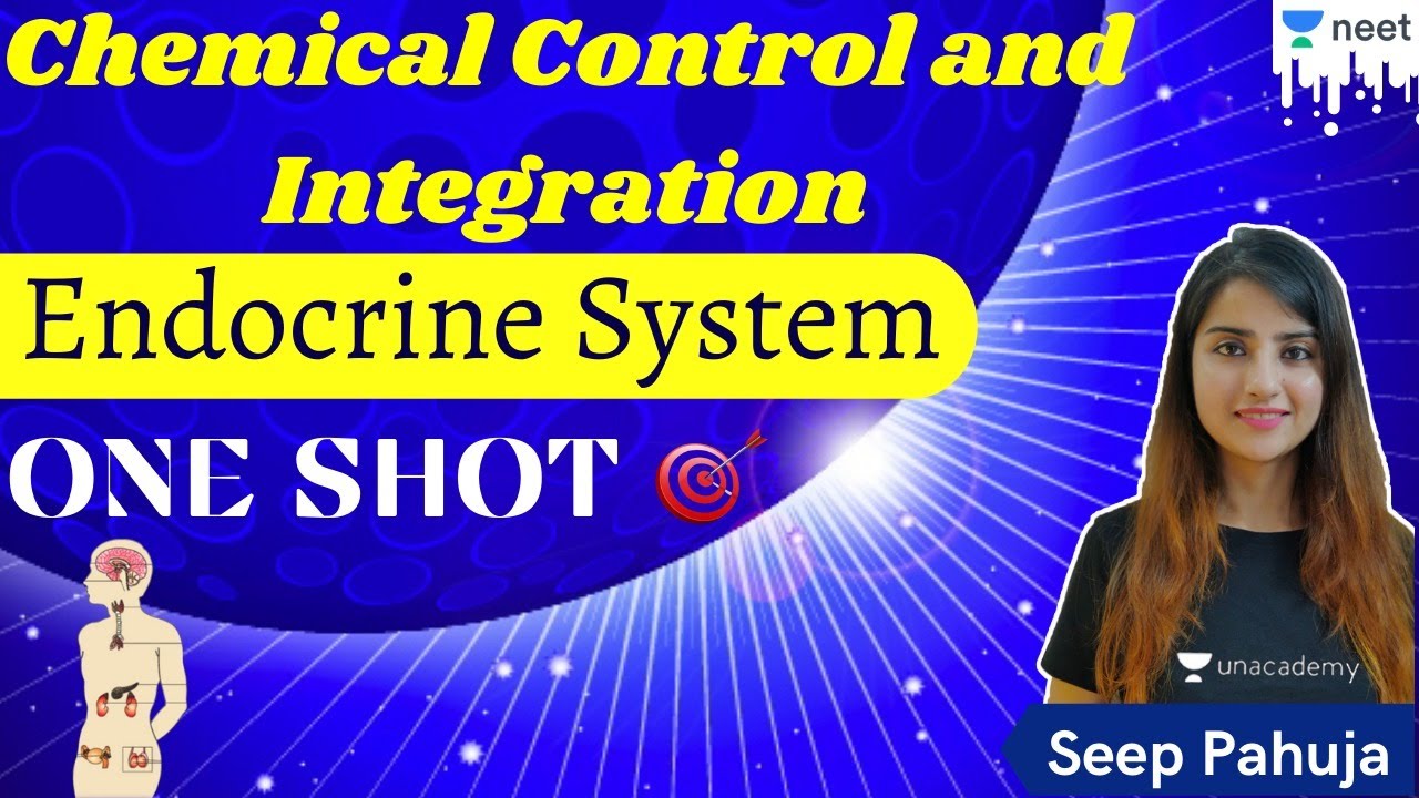 NEET: Chemical coordination and integration Endocrine System | Biology | Unacademy NEET | Seep P.