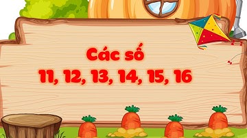 Các số 11, 12, 13, 14, 15, 16 - Toán lớp 1 (Cánh Diều) - OLM.VN