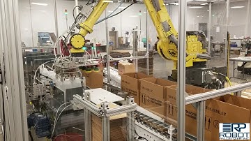 Robot Case Packer Palletizer