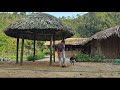 Single Mother Ly Tieu Ca Completes Bamboo Shelter After Many Days of Hard Work