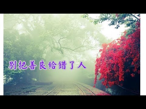 甄心紡-別把善良給錯了人
