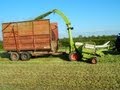 Silage 2012.Claas 75 Trailed Forager