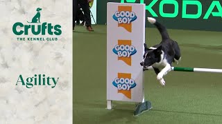 Agility - Championship Intermediate/ Large Part 1 Final (Agility)