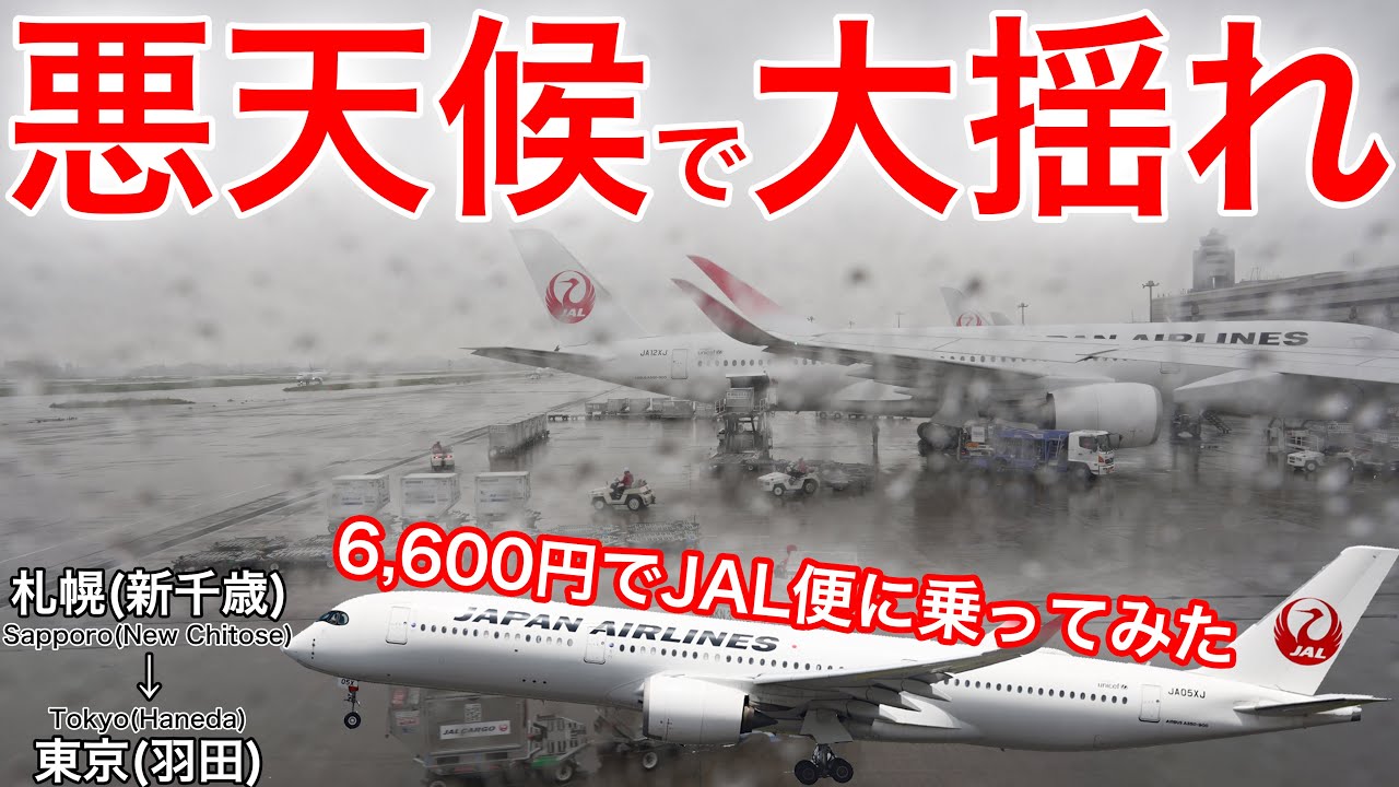 JAL修行2023】6,600円の格安チケットで乗ってみた結果、悪天候すぎて大