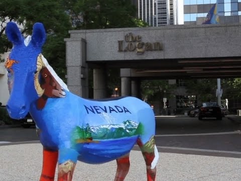Democratic Delegates Struggle to Pay High Costs