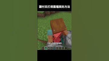 讓村民能打贏殭屍的唯一辦法 #minecraft #我的世界