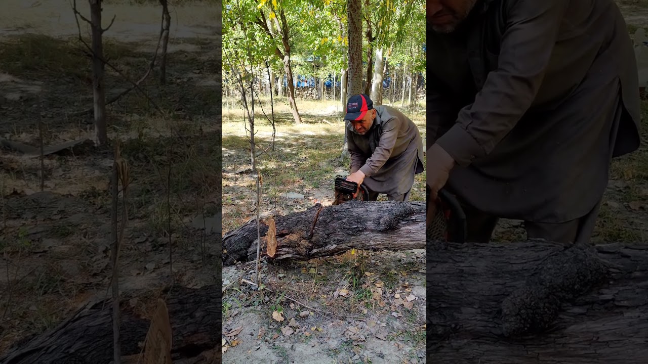 Wood Cutting Expert 