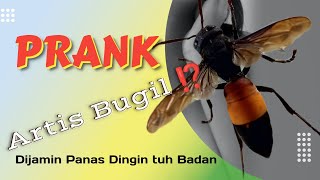 Prank Artis Bugil