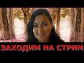 Стрим2 Ответы На Ваши Вопросы