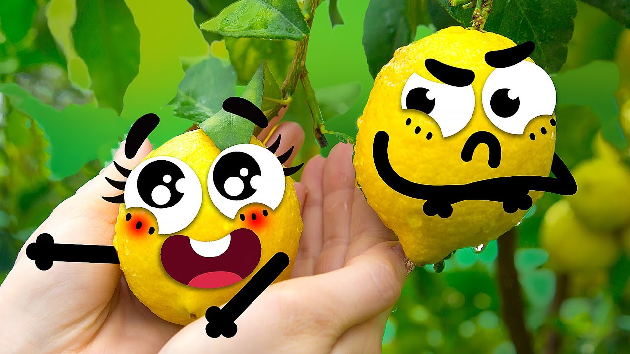 This secret world of stuff with exotic talking food can upside down this planet - Doodland 